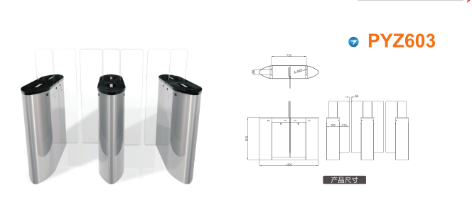 德惠市平移闸PYZ603